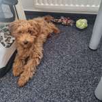 Ersteller:in Mareike Profilbild