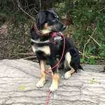 Ersteller:in Daphne Profilbild