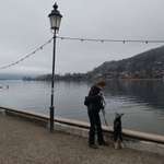 Ersteller:in Helena Charlotte Profilbild