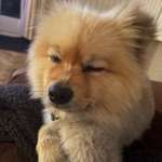 Ersteller:in Amélie Profilbild