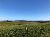 Hundeauslaufgebiet-Osternburger Utkiek-Bild
