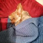 Ersteller:in Bibi Profilbild