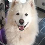 Ersteller:in Nina Profilbild