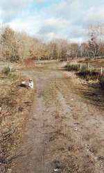 Hundeauslaufgebiet-Döberitzer Heide-Bild