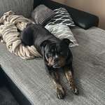 Ersteller:in Lea Profilbild