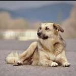 Ersteller:in Laura Profilbild