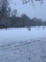 Hundeauslaufgebiet-Hallopark-Bild