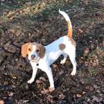 Ersteller:in Lisa Profilbild