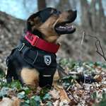 Ersteller:in Alex Profilbild