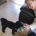 Ersteller:in Aleksandra Profilbild