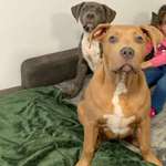 Ersteller:in D Profilbild