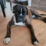 Ersteller:in Maik Profilbild