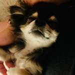 Ersteller:in Ewa Profilbild