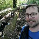 Ersteller:in Daniel Profilbild