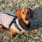 Ersteller:in Annika Profilbild