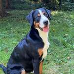 Ersteller:in Susanne Profilbild