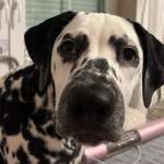 Ersteller:in Melanie Profilbild