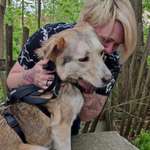 Ersteller:in Easi Profilbild