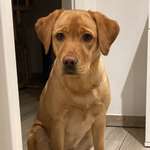 Ersteller:in Susanne Profilbild