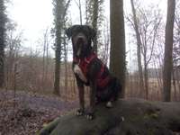 Ersteller:in Sammy Profilbild