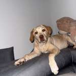 Ersteller:in Sabrina Profilbild