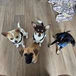 Ersteller:in Jeanette Profilbild