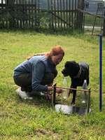 Hundeauslaufgebiet-Hundefreilaufwiese Pattensen- Hüpede-Bild