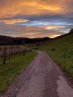 Hundeauslaufgebiet-Autal-Bild