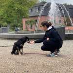 Ersteller:in Yasmin Profilbild