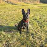 Ersteller:in Mar Profilbild