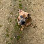 Ersteller:in Victoria Profilbild