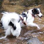 Ersteller:in Jeannine Profilbild