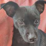 Ersteller:in Patrick Profilbild