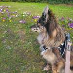 Ersteller:in Lena Sophie Profilbild