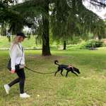 Ersteller:in Laura Profilbild