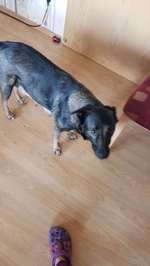 was seht ihr?-Beitrag-Bild