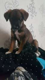 was seht ihr?-Beitrag-Bild