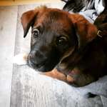 was seht ihr?-Beitrag-Bild