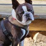 Ersteller:in Nicole Profilbild