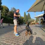 Ersteller:in Lars Profilbild