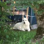 Ersteller:in René Profilbild