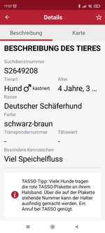 Suchmeldung-Rex-Bild