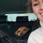 Ersteller:in Jani Profilbild