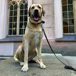 Ersteller:in Silvia Profilbild