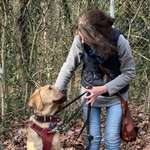 Ersteller:in Silvia Profilbild