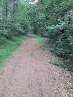 Hundeauslaufgebiet-Trimm dich Pfad Garrel-Bild