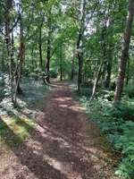 Hundeauslaufgebiet-Trimm dich Pfad Garrel-Bild