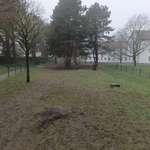 Hundeauslaufgebiet-SBV-Wiese-Bild