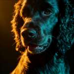 Ersteller:in Jazmin Profilbild