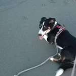 Ersteller:in Nala Profilbild